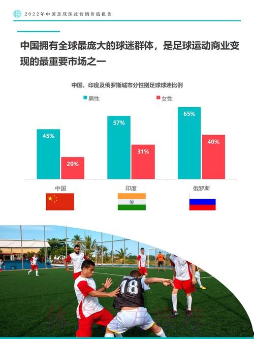 全面解读世界杯数据分析报告